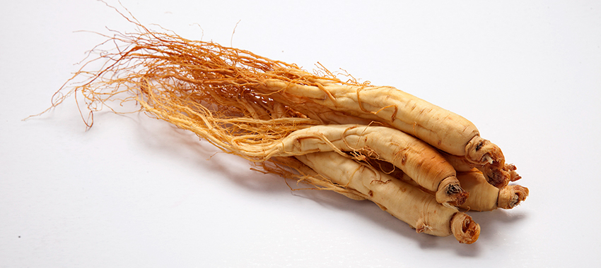 根果类精油提取